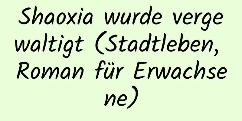 Shaoxia wurde vergewaltigt (Stadtleben, Roman für Erwachsene)