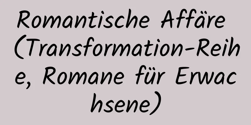 Romantische Affäre (Transformation-Reihe, Romane für Erwachsene)