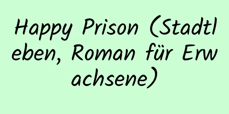 Happy Prison (Stadtleben, Roman für Erwachsene)