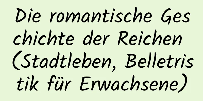 Die romantische Geschichte der Reichen (Stadtleben, Belletristik für Erwachsene)