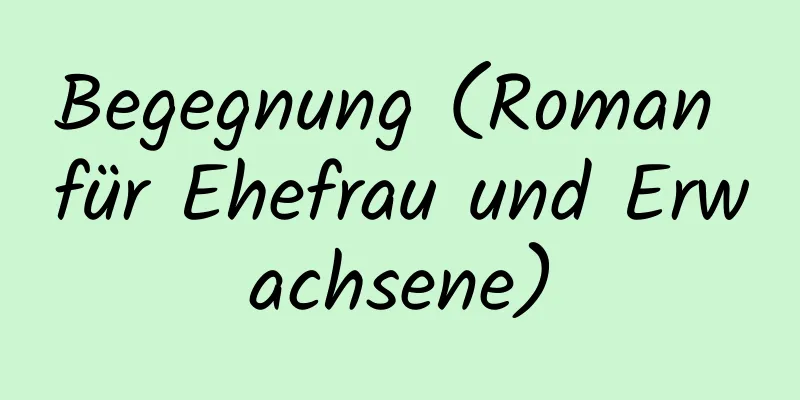 Begegnung (Roman für Ehefrau und Erwachsene)