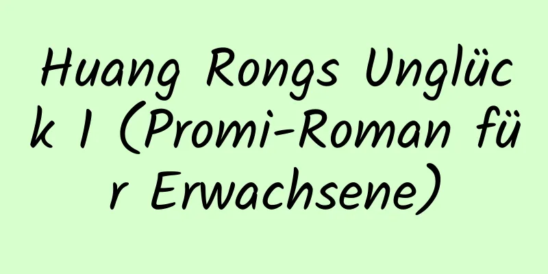 Huang Rongs Unglück 1 (Promi-Roman für Erwachsene)