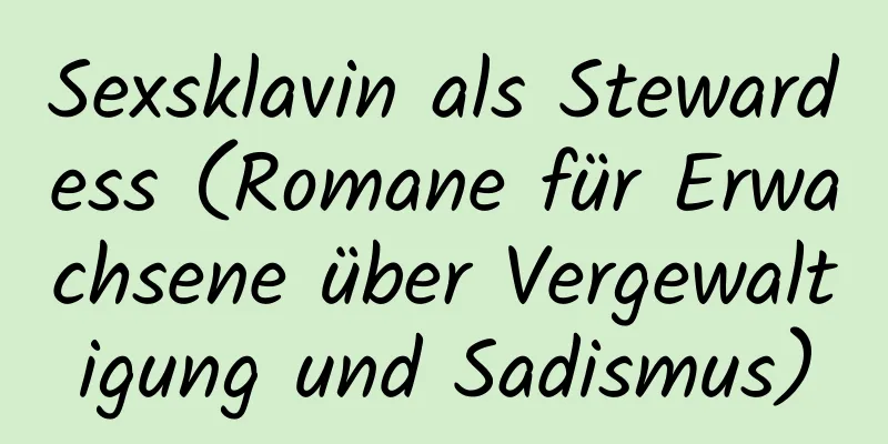 Sexsklavin als Stewardess (Romane für Erwachsene über Vergewaltigung und Sadismus)