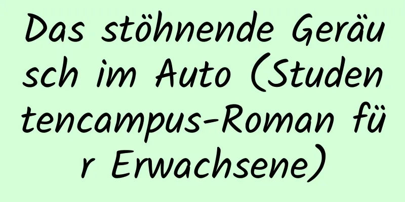 Das stöhnende Geräusch im Auto (Studentencampus-Roman für Erwachsene)