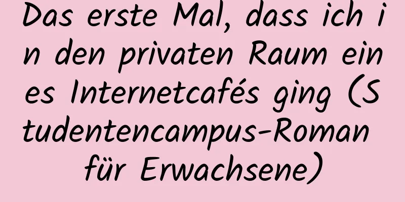 Das erste Mal, dass ich in den privaten Raum eines Internetcafés ging (Studentencampus-Roman für Erwachsene)