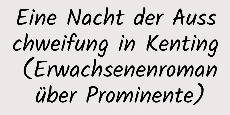 Eine Nacht der Ausschweifung in Kenting (Erwachsenenroman über Prominente)