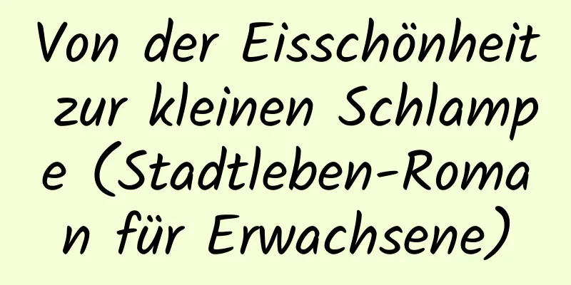 Von der Eisschönheit zur kleinen Schlampe (Stadtleben-Roman für Erwachsene)