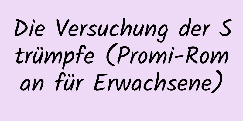 Die Versuchung der Strümpfe (Promi-Roman für Erwachsene)