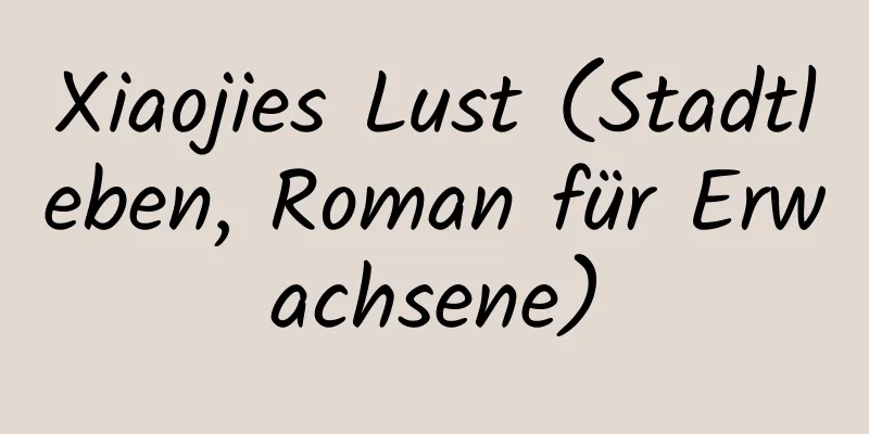 Xiaojies Lust (Stadtleben, Roman für Erwachsene)