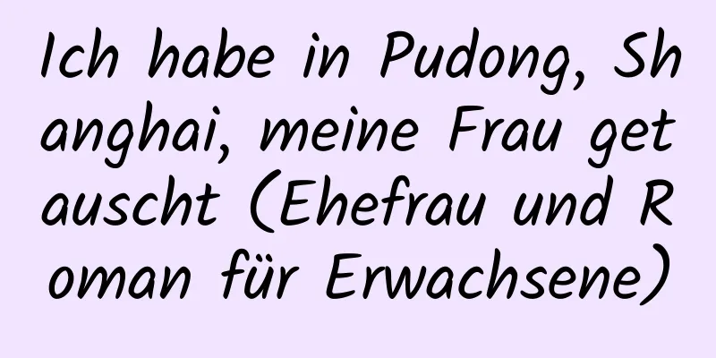 Ich habe in Pudong, Shanghai, meine Frau getauscht (Ehefrau und Roman für Erwachsene)