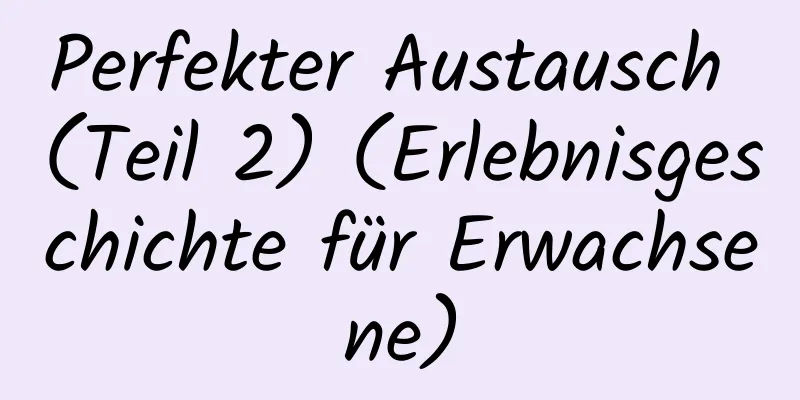 Perfekter Austausch (Teil 2) (Erlebnisgeschichte für Erwachsene)