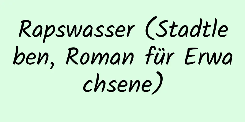 Rapswasser (Stadtleben, Roman für Erwachsene)