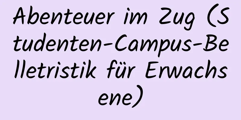 Abenteuer im Zug (Studenten-Campus-Belletristik für Erwachsene)