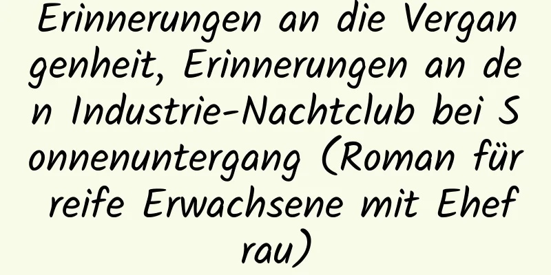 Erinnerungen an die Vergangenheit, Erinnerungen an den Industrie-Nachtclub bei Sonnenuntergang (Roman für reife Erwachsene mit Ehefrau)