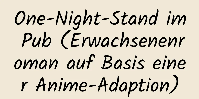 One-Night-Stand im Pub (Erwachsenenroman auf Basis einer Anime-Adaption)