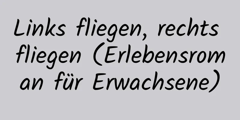 Links fliegen, rechts fliegen (Erlebensroman für Erwachsene)