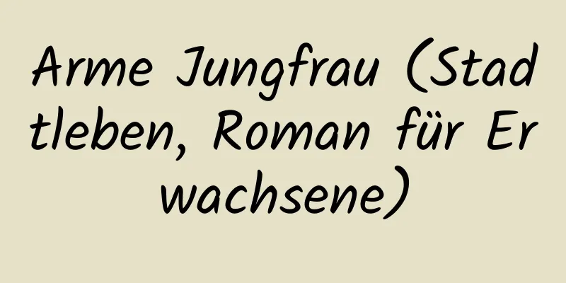 Arme Jungfrau (Stadtleben, Roman für Erwachsene)