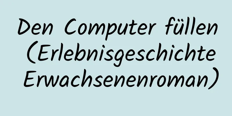 Den Computer füllen (Erlebnisgeschichte Erwachsenenroman)