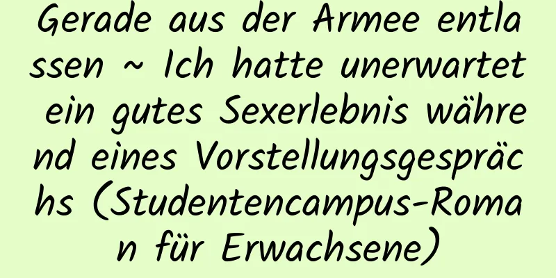 Gerade aus der Armee entlassen ~ Ich hatte unerwartet ein gutes Sexerlebnis während eines Vorstellungsgesprächs (Studentencampus-Roman für Erwachsene)