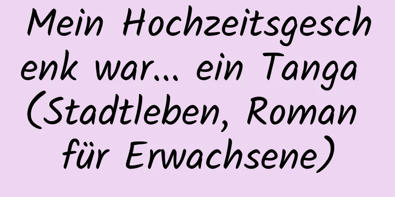 Mein Hochzeitsgeschenk war... ein Tanga (Stadtleben, Roman für Erwachsene)