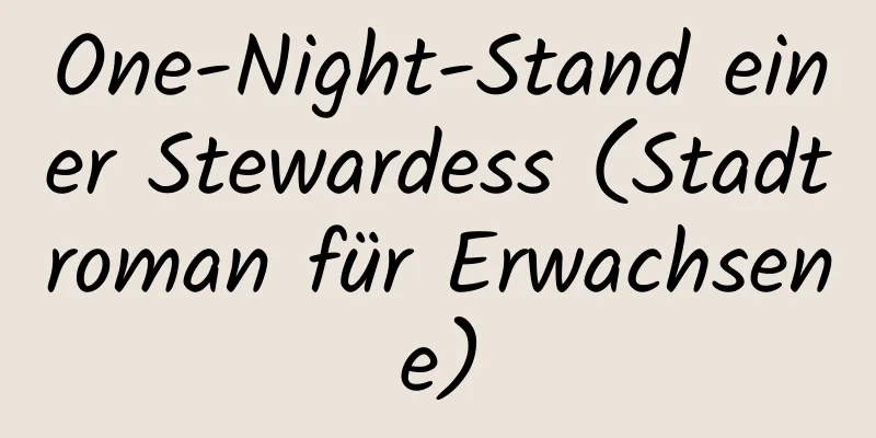 One-Night-Stand einer Stewardess (Stadtroman für Erwachsene)