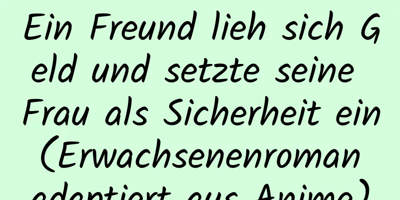 Ein Freund lieh sich Geld und setzte seine Frau als Sicherheit ein (Erwachsenenroman adaptiert aus Anime)