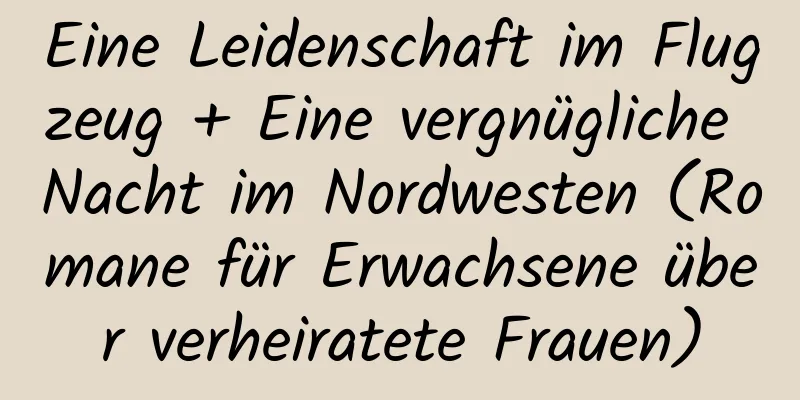 Eine Leidenschaft im Flugzeug + Eine vergnügliche Nacht im Nordwesten (Romane für Erwachsene über verheiratete Frauen)