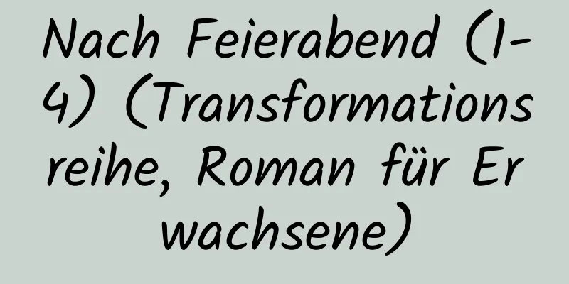 Nach Feierabend (1-4) (Transformationsreihe, Roman für Erwachsene)