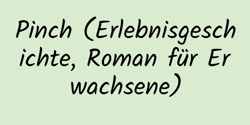 Pinch (Erlebnisgeschichte, Roman für Erwachsene)