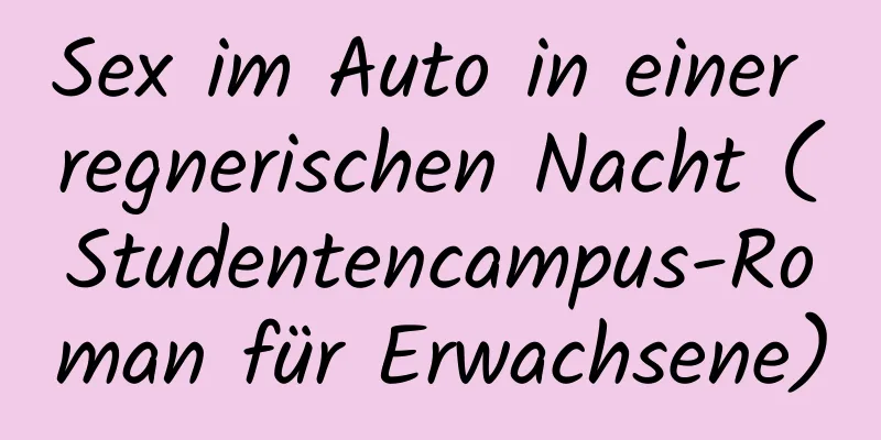 Sex im Auto in einer regnerischen Nacht (Studentencampus-Roman für Erwachsene)