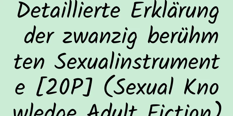 Detaillierte Erklärung der zwanzig berühmten Sexualinstrumente [20P] (Sexual Knowledge Adult Fiction)