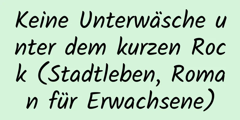 Keine Unterwäsche unter dem kurzen Rock (Stadtleben, Roman für Erwachsene)