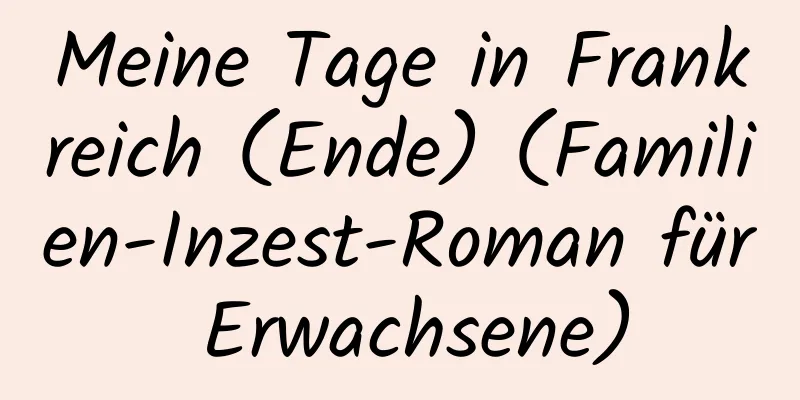 Meine Tage in Frankreich (Ende) (Familien-Inzest-Roman für Erwachsene)