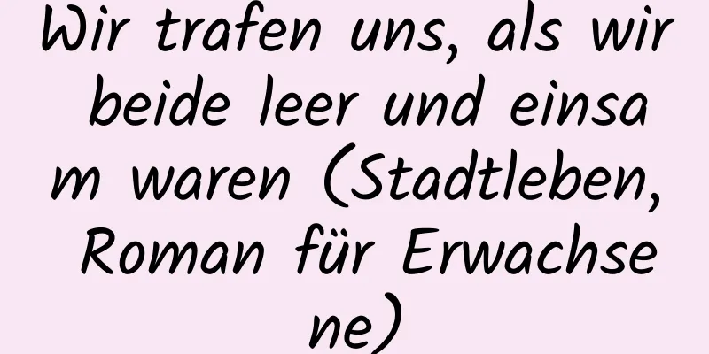 Wir trafen uns, als wir beide leer und einsam waren (Stadtleben, Roman für Erwachsene)