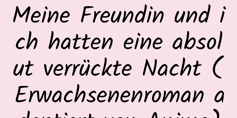 Meine Freundin und ich hatten eine absolut verrückte Nacht (Erwachsenenroman adaptiert von Anime)