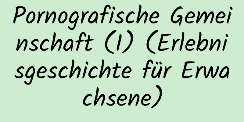 Pornografische Gemeinschaft (I) (Erlebnisgeschichte für Erwachsene)