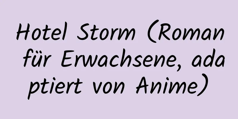 Hotel Storm (Roman für Erwachsene, adaptiert von Anime)