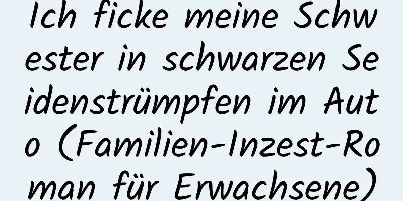 Ich ficke meine Schwester in schwarzen Seidenstrümpfen im Auto (Familien-Inzest-Roman für Erwachsene)