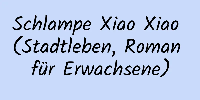 Schlampe Xiao Xiao (Stadtleben, Roman für Erwachsene)