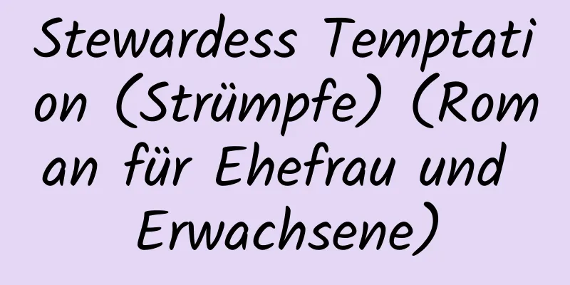 Stewardess Temptation (Strümpfe) (Roman für Ehefrau und Erwachsene)