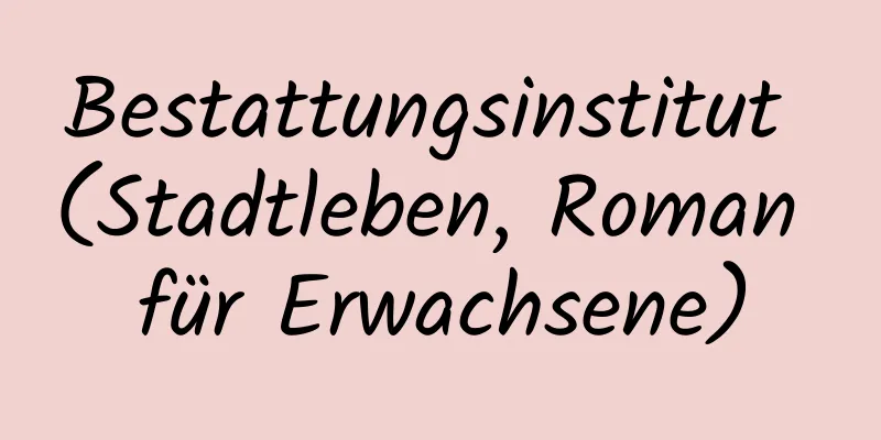 Bestattungsinstitut (Stadtleben, Roman für Erwachsene)