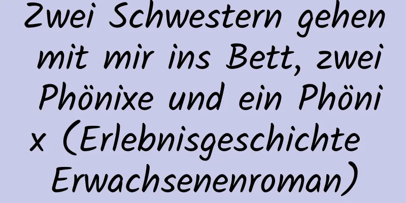 Zwei Schwestern gehen mit mir ins Bett, zwei Phönixe und ein Phönix (Erlebnisgeschichte Erwachsenenroman)