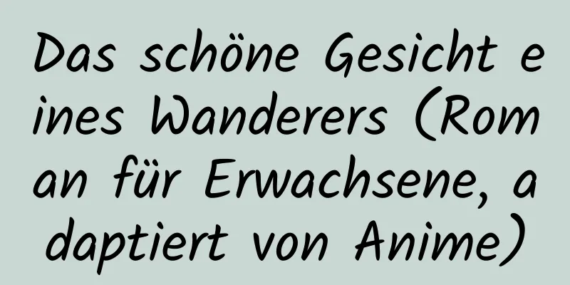 Das schöne Gesicht eines Wanderers (Roman für Erwachsene, adaptiert von Anime)