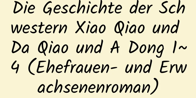 Die Geschichte der Schwestern Xiao Qiao und Da Qiao und A Dong 1~4 (Ehefrauen- und Erwachsenenroman)