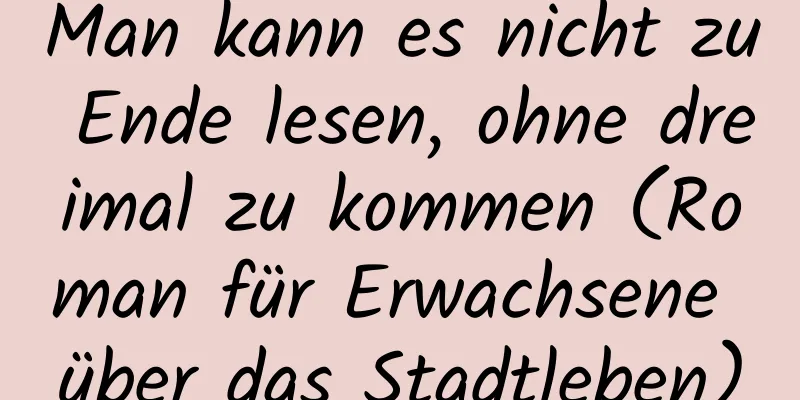 Man kann es nicht zu Ende lesen, ohne dreimal zu kommen (Roman für Erwachsene über das Stadtleben)