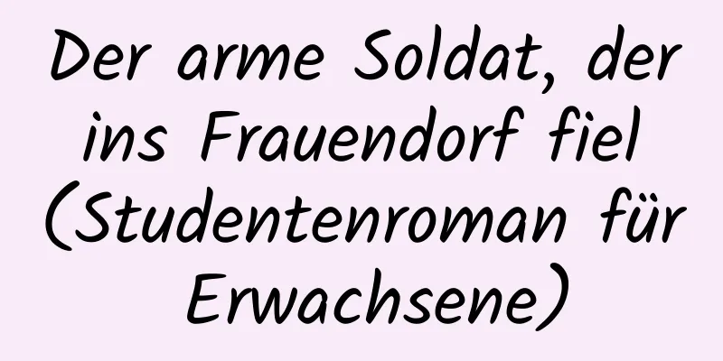 Der arme Soldat, der ins Frauendorf fiel (Studentenroman für Erwachsene)