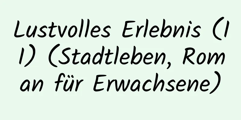 Lustvolles Erlebnis (II) (Stadtleben, Roman für Erwachsene)