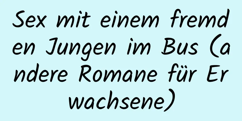 Sex mit einem fremden Jungen im Bus (andere Romane für Erwachsene)