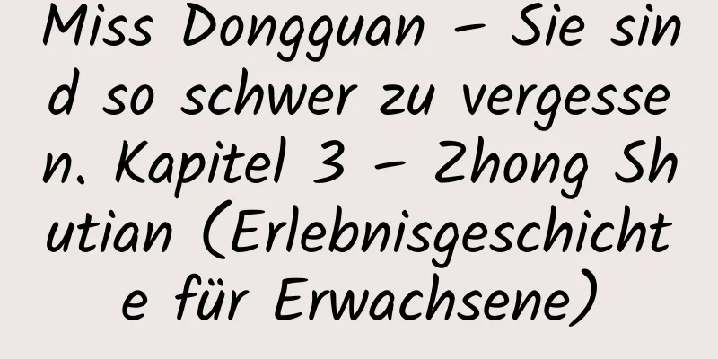 Miss Dongguan – Sie sind so schwer zu vergessen. Kapitel 3 – Zhong Shutian (Erlebnisgeschichte für Erwachsene)