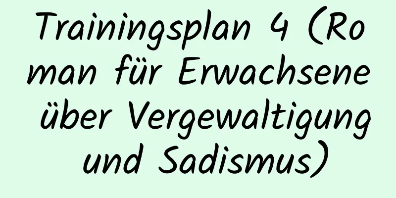 Trainingsplan 4 (Roman für Erwachsene über Vergewaltigung und Sadismus)